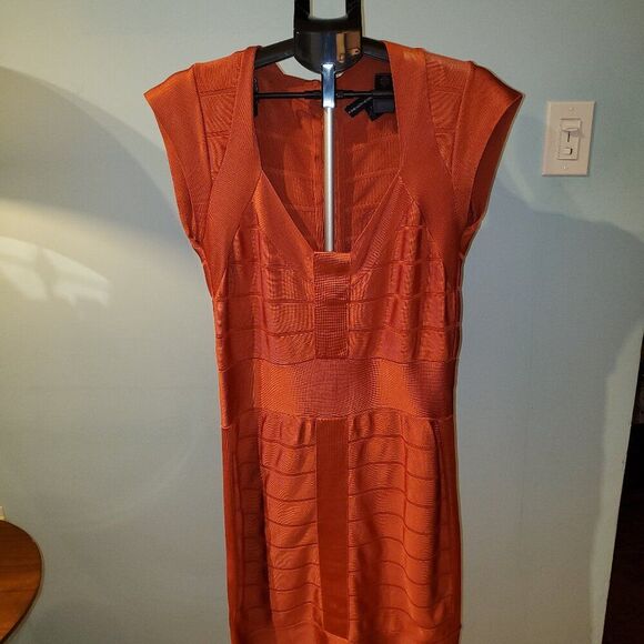French Connection, Sz 16  Burnt Orange, Short Sleeve. Fall Dress - Picture 1 of 16